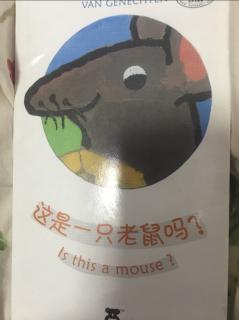 这是一只老鼠吗？