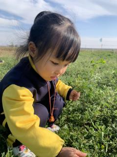 泽馨苑幼儿园故事嘉年华——《离家出走的小松鼠》