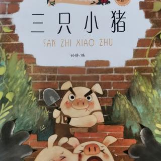 田翰霖—《三只小猪》