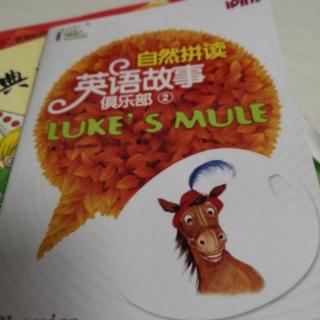 D672 Luke's mule自