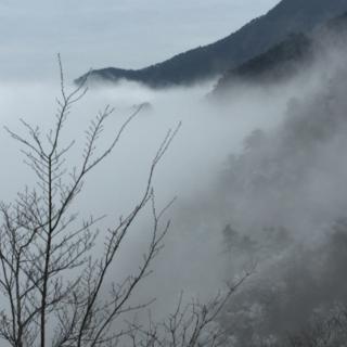 江城子•密州出猎