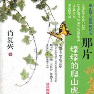 《那片绿绿的爬山虎》第十集 - 面包房之歌（花边饺子）