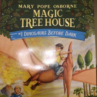 Magic  Tree   house