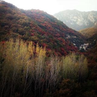 我深爱的嵩山