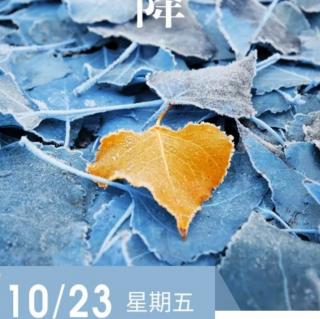 《羊皮卷第四卷》10.23