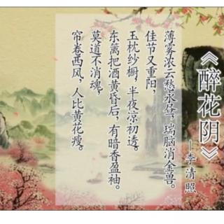 醉花阴  李清照