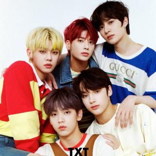 【cover】TXT-thank u,next