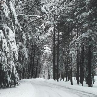 你有没有 等过一场没来的雪 - 韩希卉.🐑