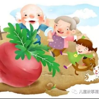 萌瑞宝贝睡前故事《拔萝卜》