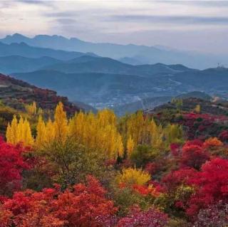 10月24日共读《嵩山秋色》