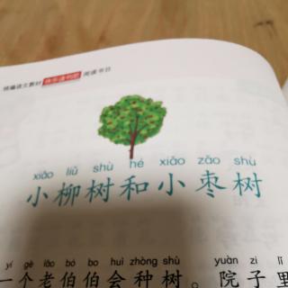 小柳树和小枣树