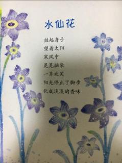 儿童诗80《水仙花》