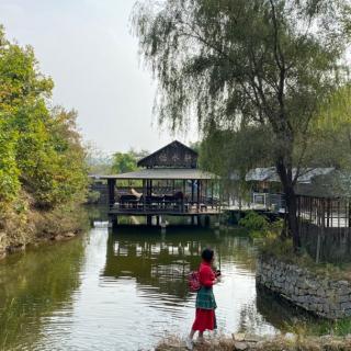 又到重阳节