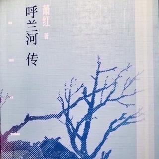 《呼兰河传》萧红 第三章 （九）