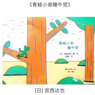 青蛙🐸小弟睡午觉