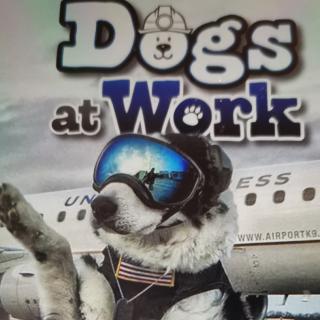 Dogs at Work