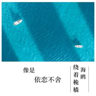 QS.13-海鸥绕着桅樯，像是依恋不舍