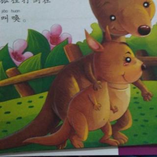 【大地幼儿园故事】园长妈妈睡前故事《袋鼠的尾巴》