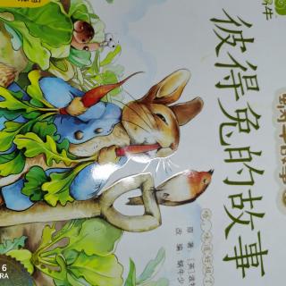 彼得兔的故事（1）