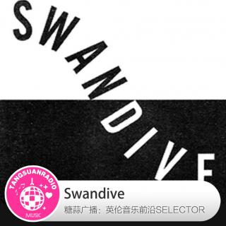 Swandive·糖蒜爱音乐之The Selector