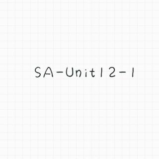 SAUnit12-1【V1.0】