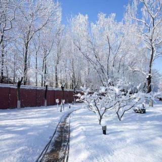 迟子建散文：我的世界下雪了