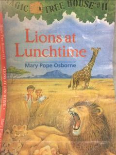 Lions at lunchtime1-5