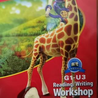 G1-U3 workshops ~P6-13