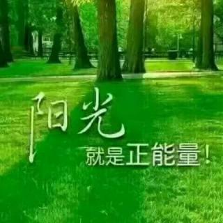 正午阳光励志心语《遭遇坎坷的时候》