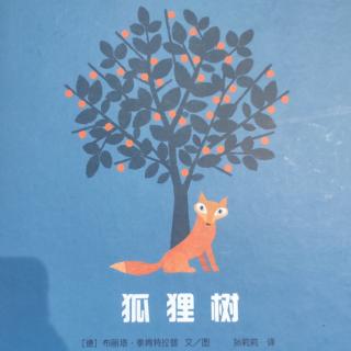 《狐狸树》