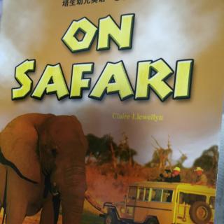 on safari