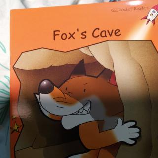 FOX's cave