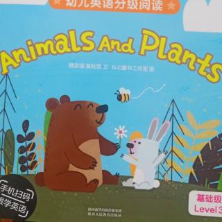 animals and plants