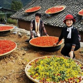 《写在抗美援朝七十周年纪念日》