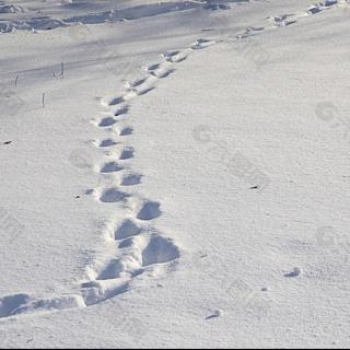 雪地里的脚印