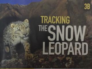 Tracking the snow leopard