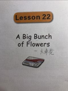 22. Ａbig Bunch of Flowers