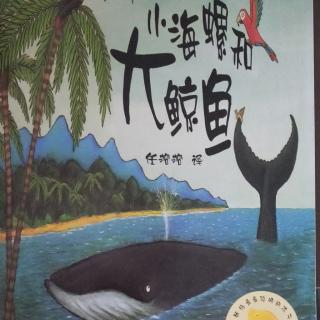 晚安故事《小海螺和大鲸鱼》