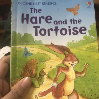 the hare and the tortoise 10.29
