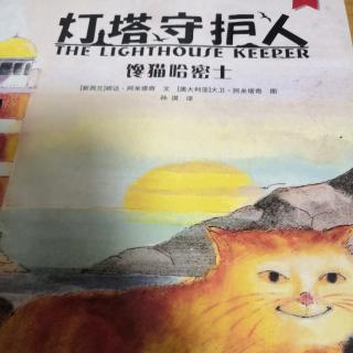 灯塔守护人馋猫哈密士