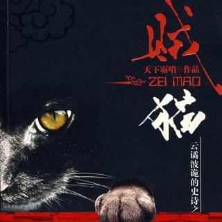 贼猫-天下霸唱42（求打赏、订阅、关注、评论）