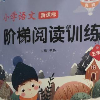 《阶梯阅读训练》