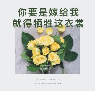 QS.17-你要是嫁给我，就得牺牲这衣裳