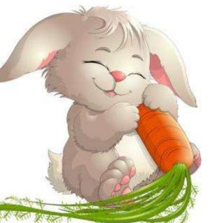 故事《爱挑食的小白兔》