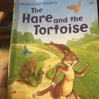 the hare and the tortoise 10.31