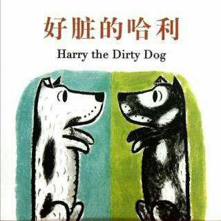 桃子姐姐绘本故事推荐第二十三期《好脏的哈利》