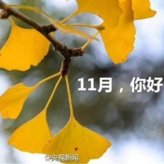 喀纳斯早安心语（11.1）