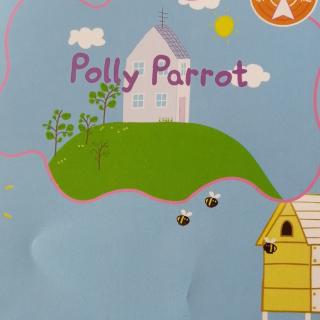 Polly parrot