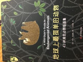 地球上最孤单的动物 虎尾海马 （海洋）