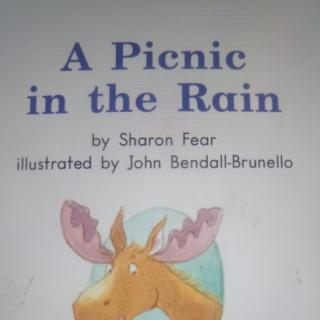 A picnic in the rain